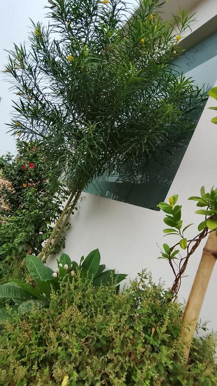 Zahrada ubytování Atithi home stay and Cloud Kitchen