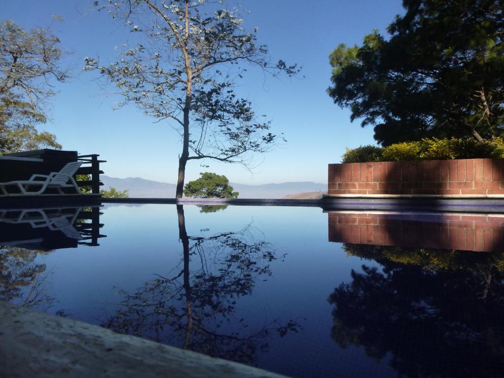 a view of a body of water with a tree at San Gregorio Hotel & SPA in Villa Canales