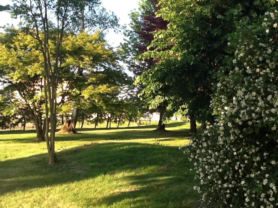 Vonkajšia záhrada v ubytovaní B&B Cascina Baraggione