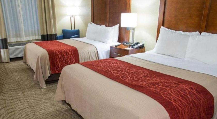 Comfort Inn DFW Airport Northにあるベッド