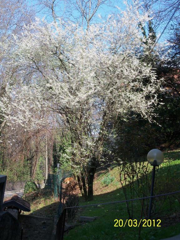 Zahrada ubytování B&B I Ghiri