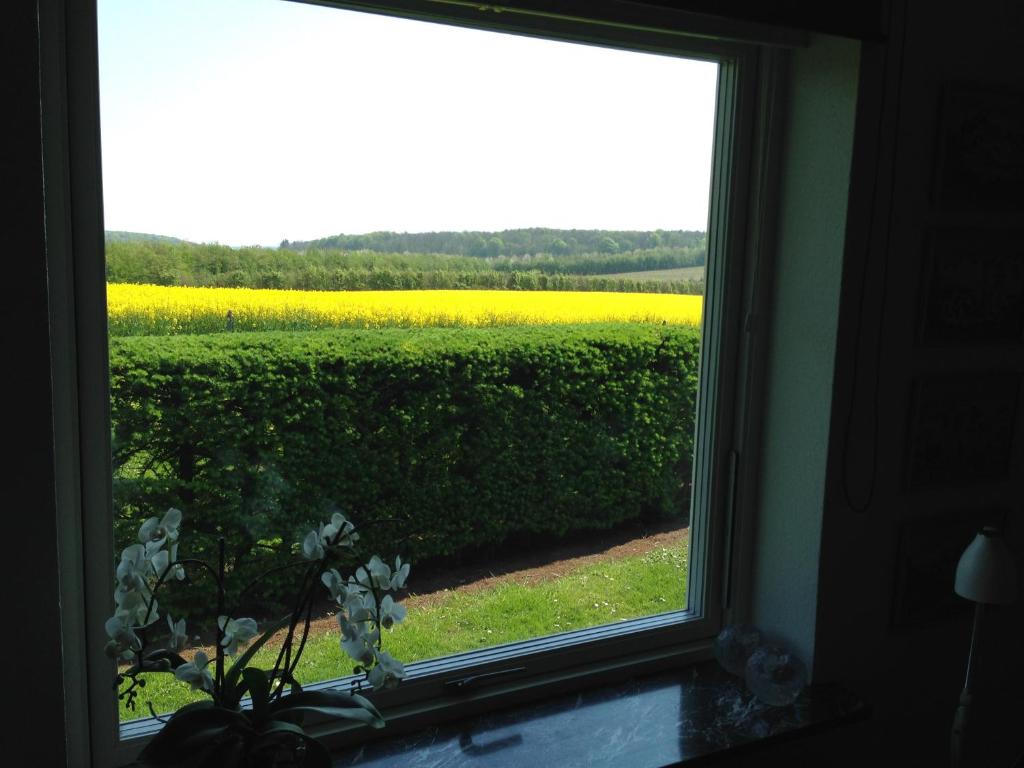 een raam met uitzicht op een veld met gele bloemen bij Horsens Room in Horsens