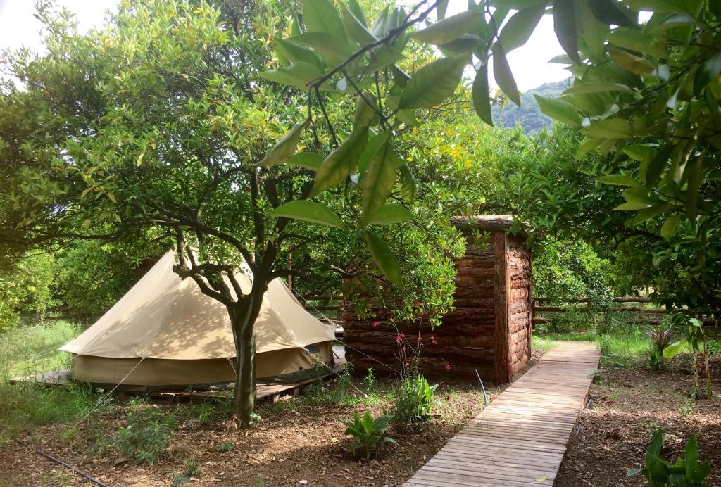 Zahrada ubytování Campo Portakal Eco Glamping