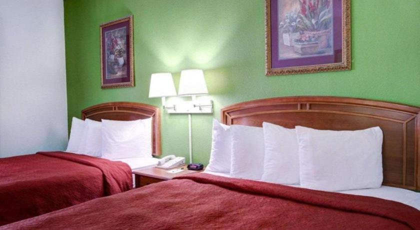 two beds in a hotel room with green walls at Quality Inn & Suites Airport in Austin