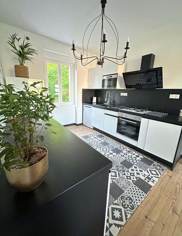 une cuisine en noir et blanc avec une plante en pot dans l'établissement Maison vacance en Périgord, à Saint-Astier