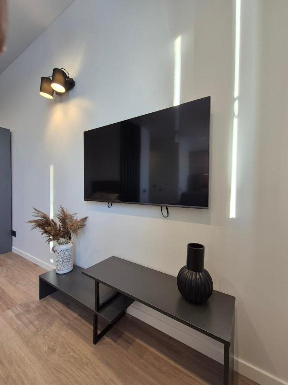 TV a/nebo společenská místnost v ubytování Apartment with Narva Castle view