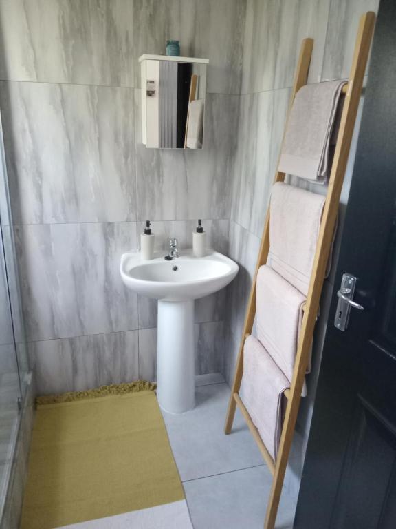 - Baño con lavabo y escalera de toallas en Townview Estate, en Ladysmith