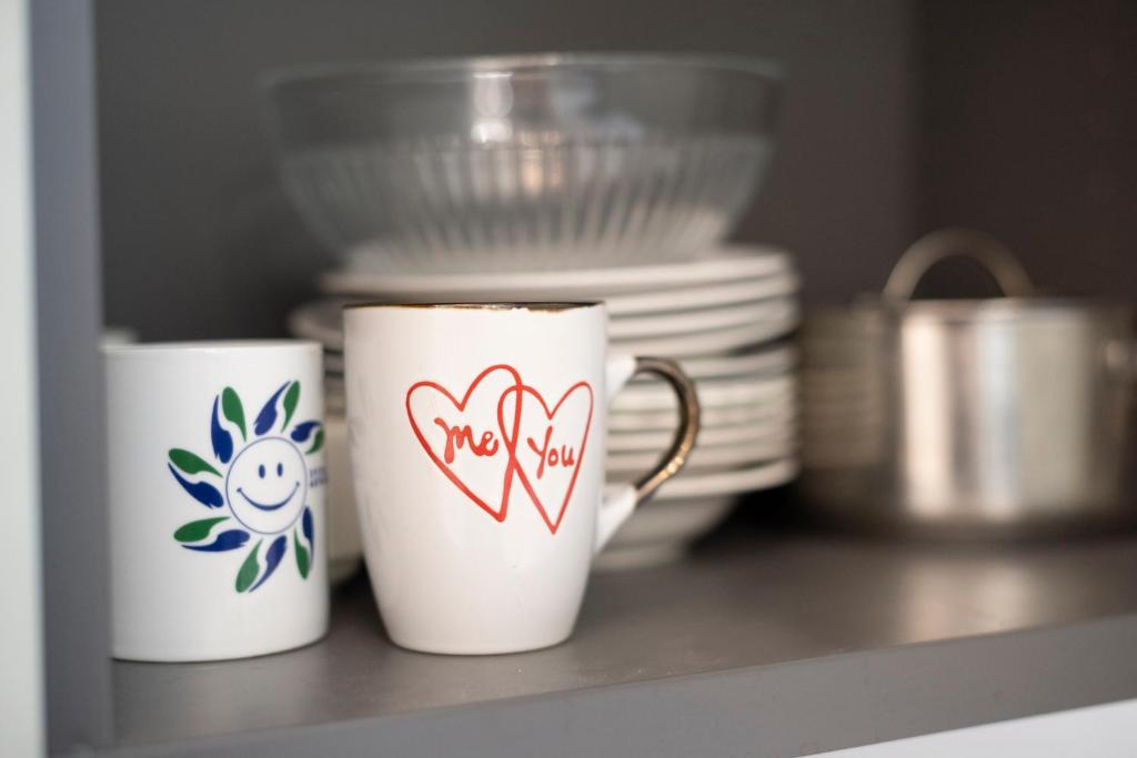 Mega COOL Flat France Suisse – photo 24