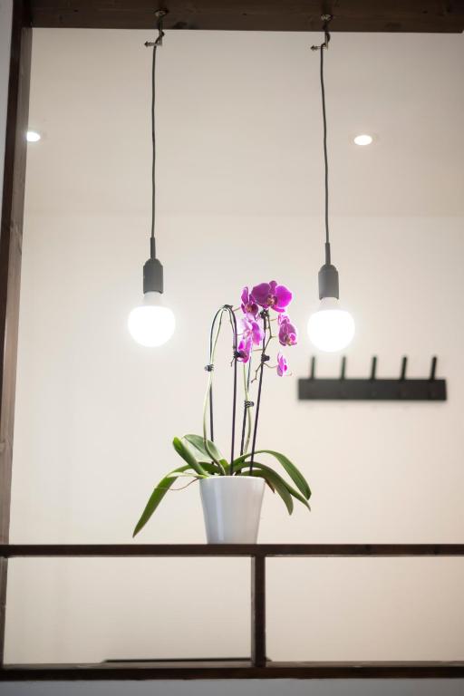 Mega COOL Flat France Suisse – photo 31