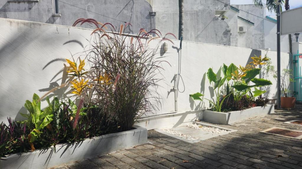 La Perla Holiday Apartments - 12