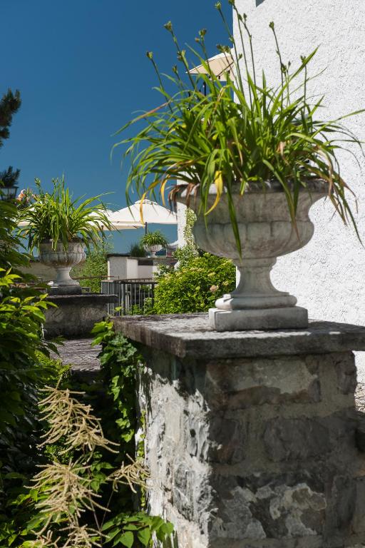 Zahrada ubytování See- und Seminarhotel FloraAlpina Vitznau