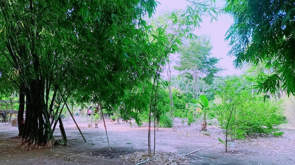 Zahrada ubytování สวนบ้านเราแคมป์ Our Garden Camp