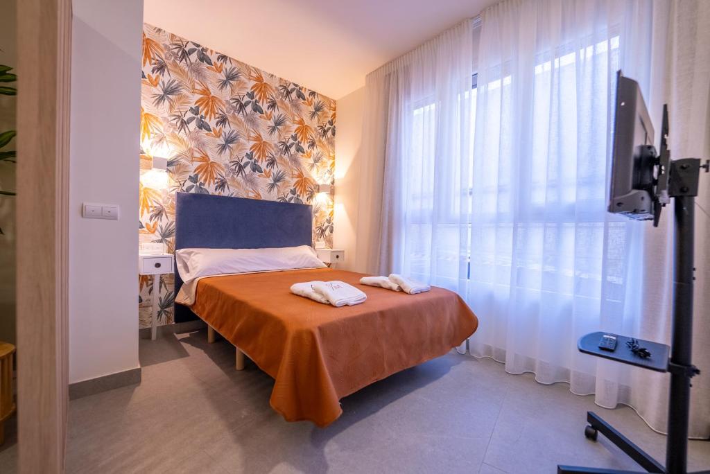 Apartamentos San Martín - 17