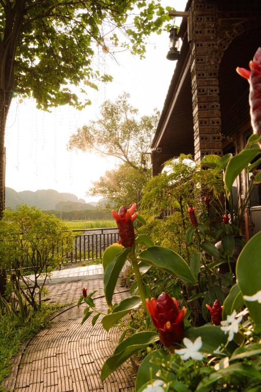 Tam Coc Mr Loa Bungalow - 5