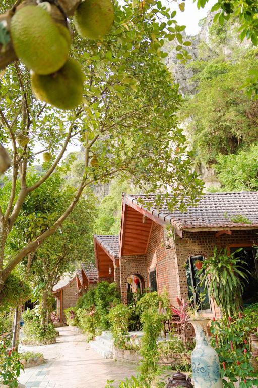 Tam Coc Mr Loa Bungalow - 14