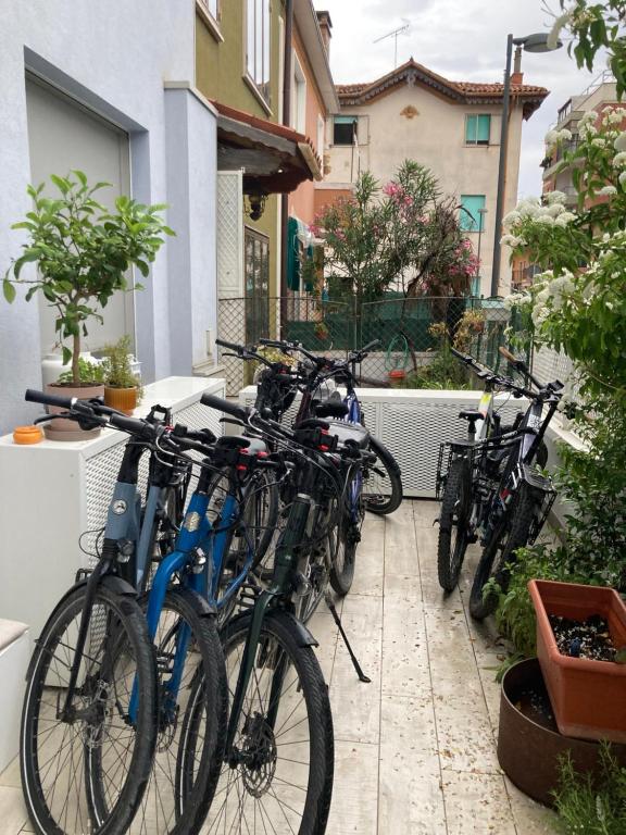 Jízda na kole v ubytování Casa di Mirea nebo okolí