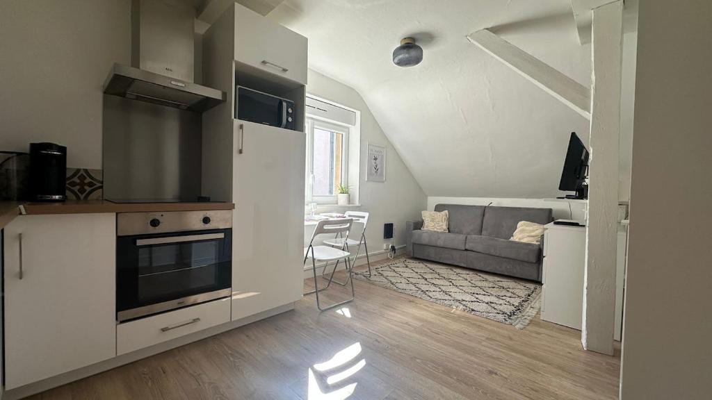 Il dispose d'une cuisine et d'un salon avec une cuisinière et un canapé. dans l'établissement Studio Arena Metz - 2P - 26 m2, à Metz