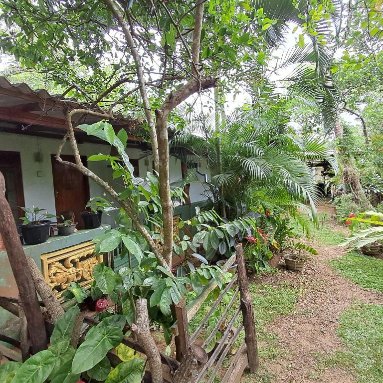 Zahrada ubytování Bandula Home Stay