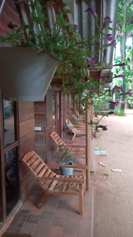 Zahrada ubytování Cool Banyan Cabana