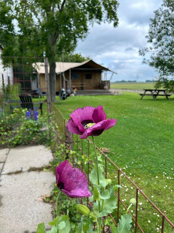 Zahrada ubytování Gewoon Ann-ders