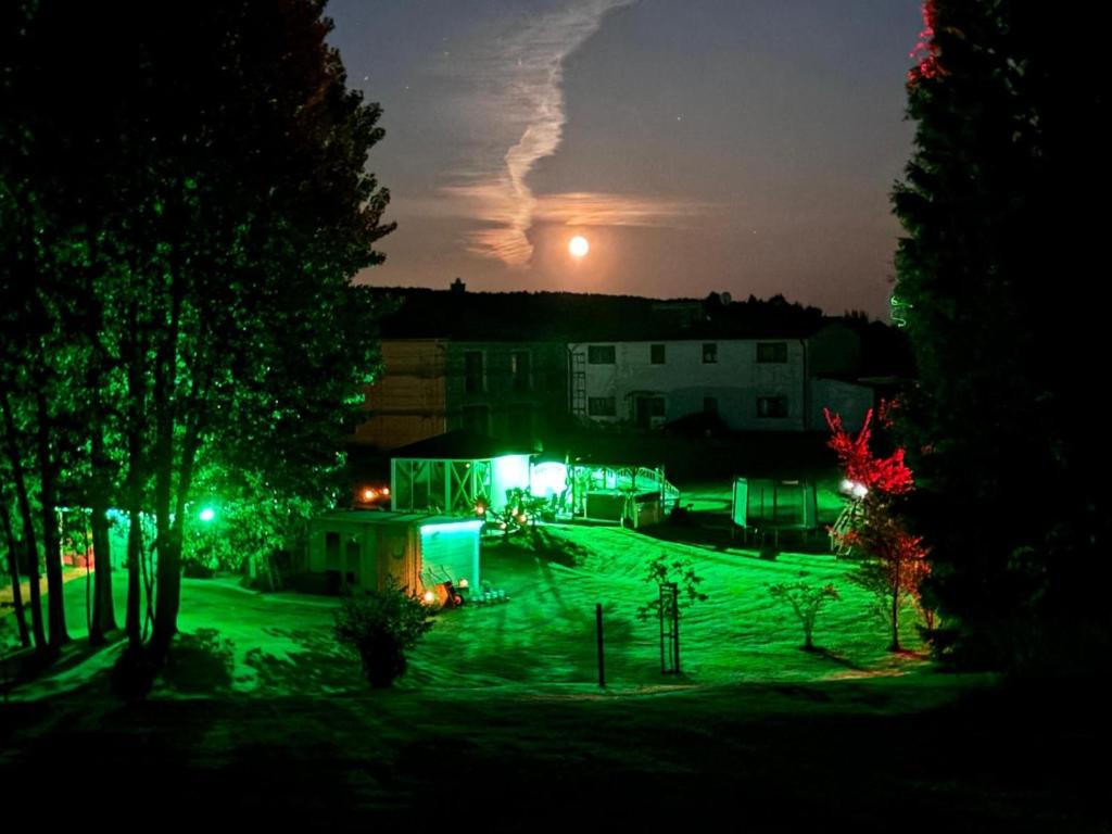 a view of a yard at night with the moon at Fewo Traum in Neppermin