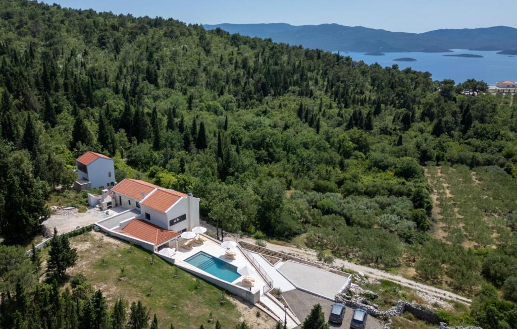 une vue aérienne d'une maison avec piscine dans l'établissement Villa Mikic by Villas Guide, à Slivno Ravno