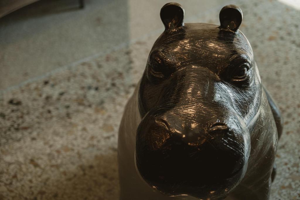 Palazzo Sebeto - Resim 21