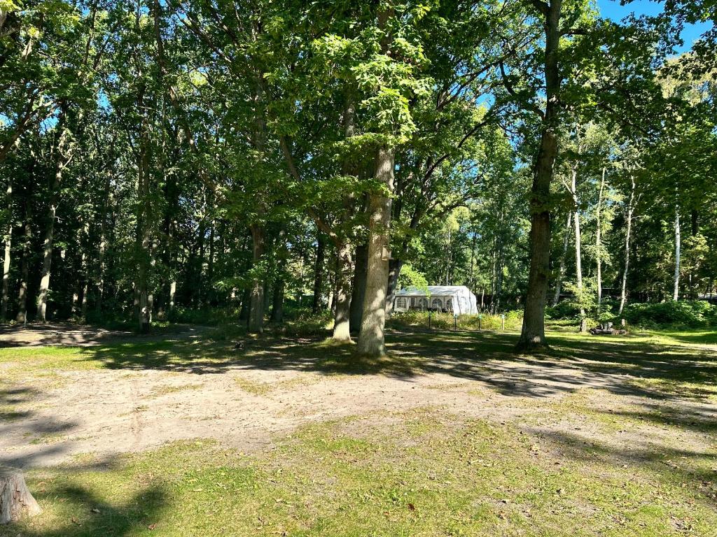 a park with trees and grass and a field at WoMo Stellplatz am Ferienpark Bernstein in Dranske