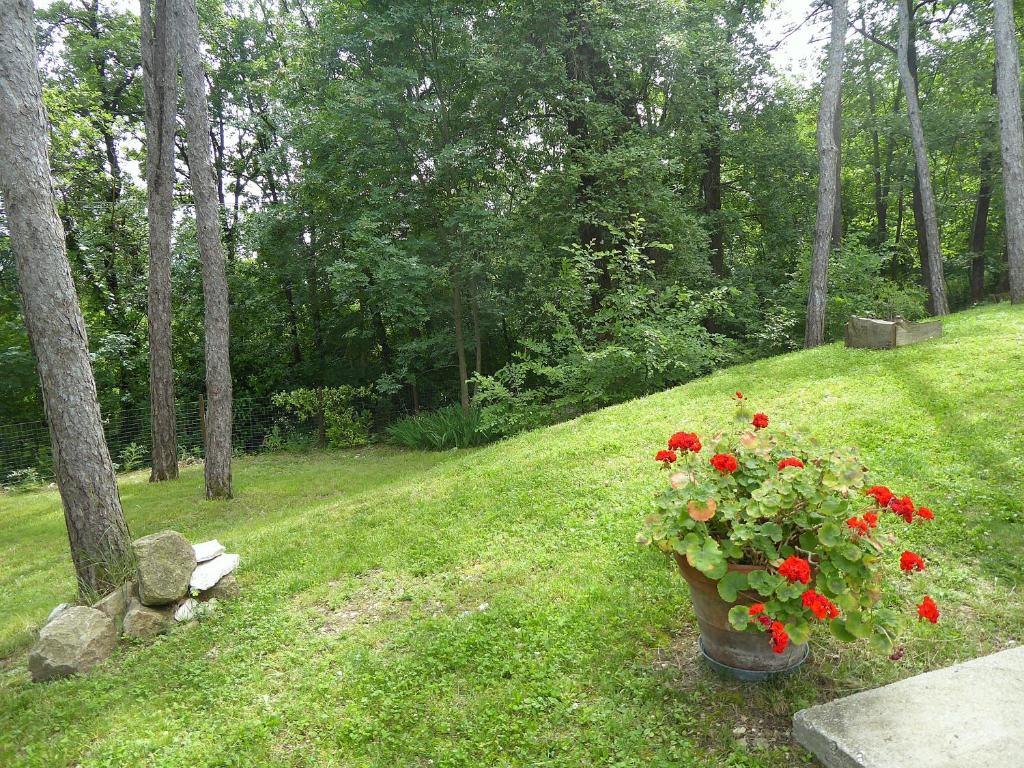 A garden outside Casa Delle Eriche, Colli Euganei, Pool, Wifi