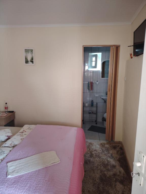 a bedroom with a bed and a bathroom with a shower at Margit kulcsoshaz in Rareş