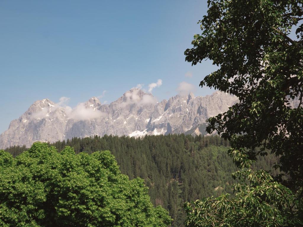 a mountain range in the distance with trees in the foreground at VOM REITER, Ferienwohnung am Bauernhof mit Bergblick und privater Infrarotkabine, Inklusive Sommercard in Schladming