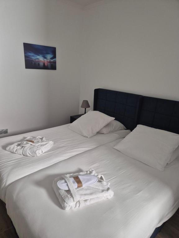 Villa Berlioz - Resim 9