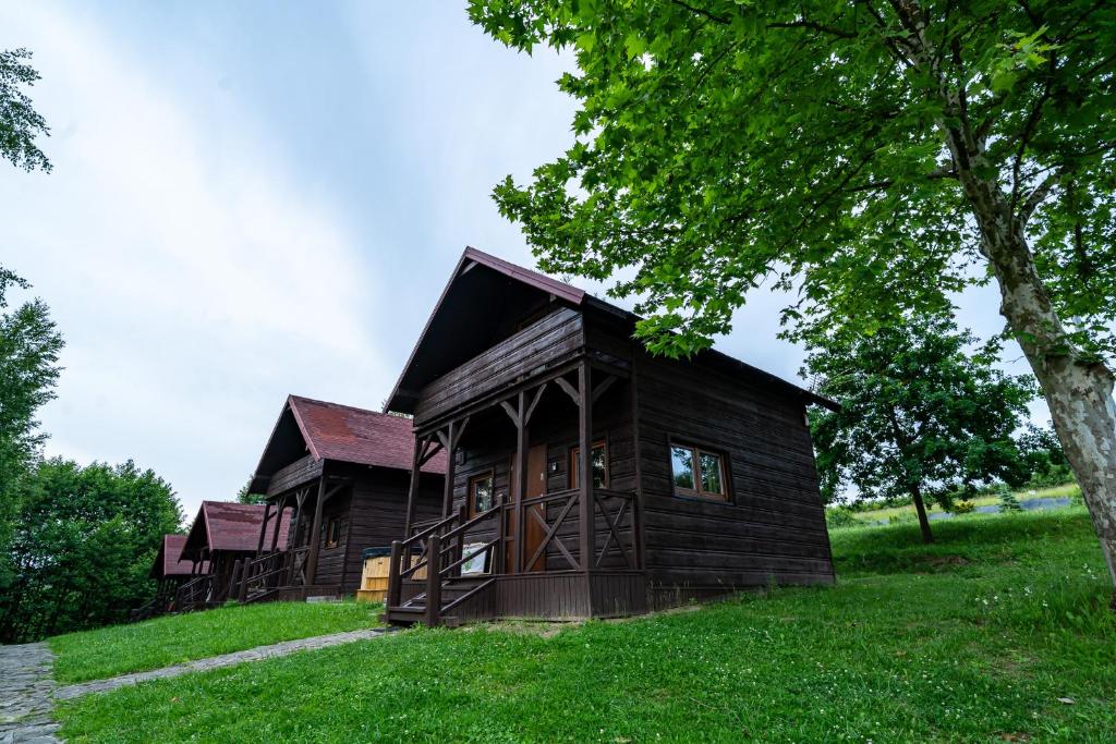 a log cabin on a grassy hill with a tree at Domki Winnica Maria Anna in Wyżne