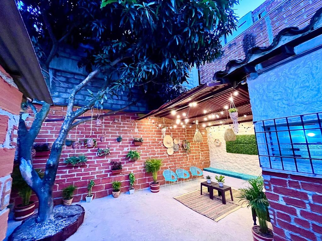 Um jardim no exterior de Spring Hostel