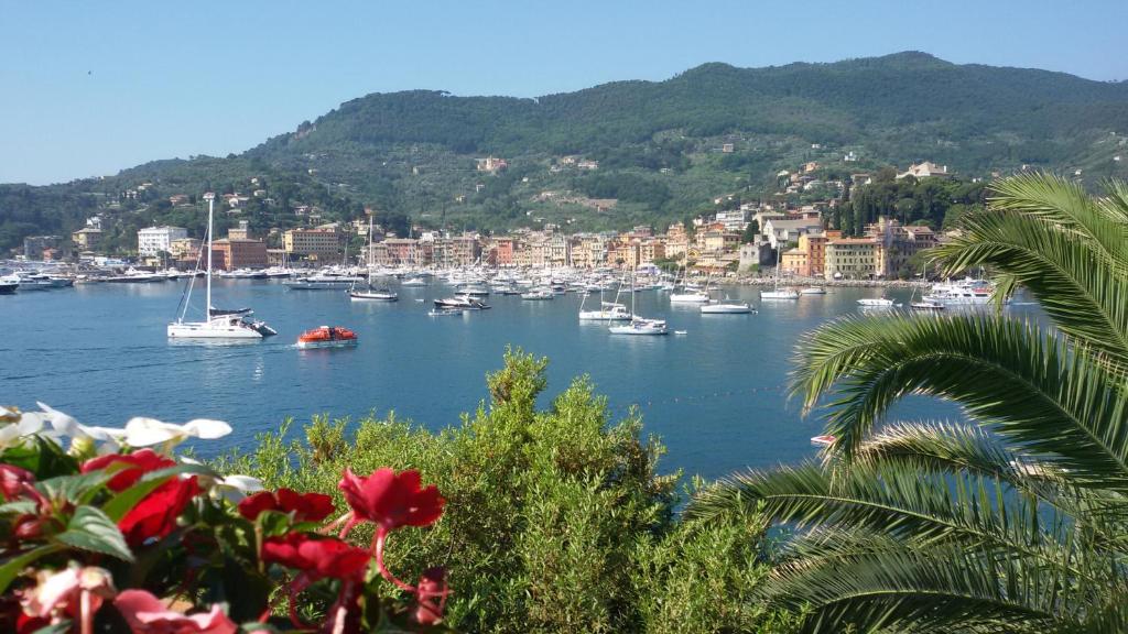 a bunch of boats in a harbor with a city at Hotel Continental in Santa Margherita Ligure