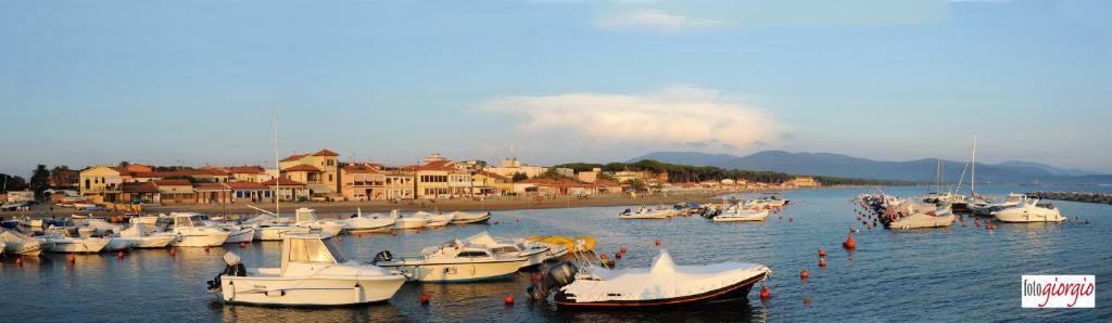 Un tas de bateaux sont amarrés dans un port dans l'établissement Affittacamere Casa Brajan, à Follonica