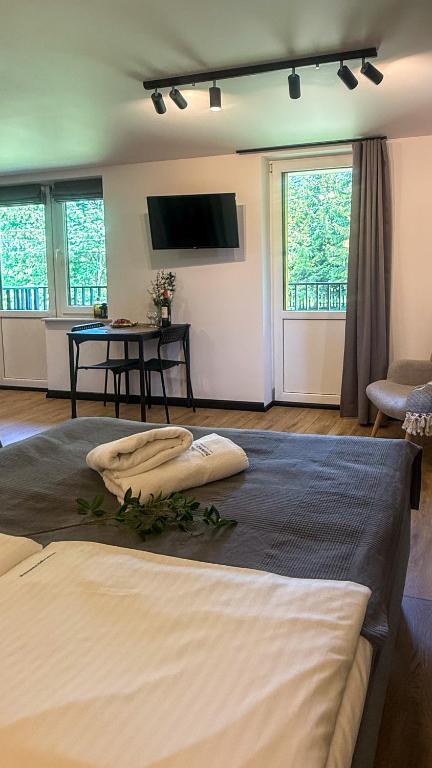 Apartamenty Drewno i Kamień - 15