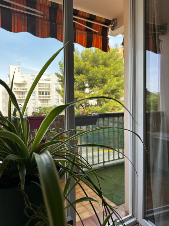 Cette chambre dispose d'une fenêtre donnant sur un balcon avec une plante. dans l'établissement Appartement lumineux avec parking privé et balcon, à Toulon
