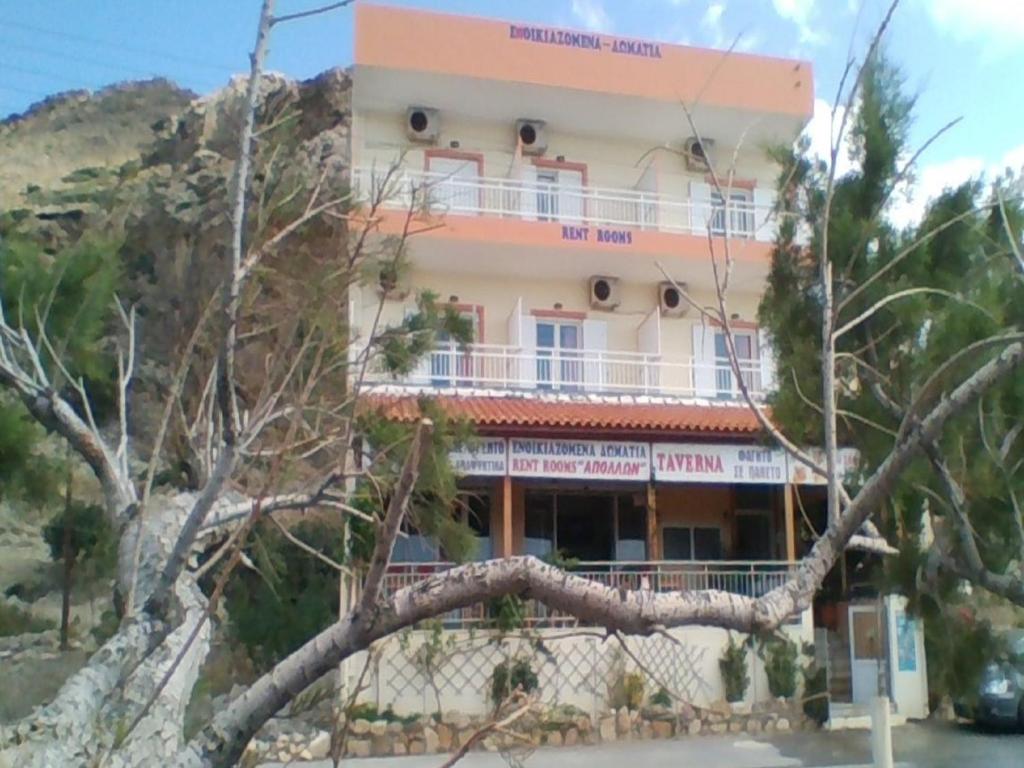 een boom die op de zijkant van een gebouw is gevallen bij Apollon in Tsoútsouros