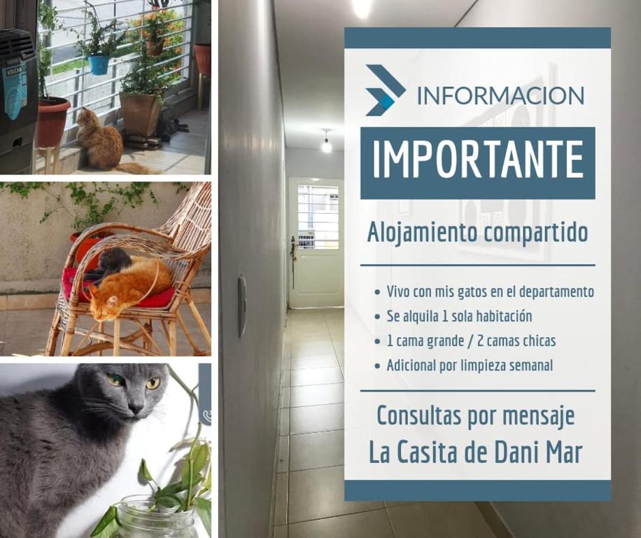 Fotografie z fotogalerie ubytování La Casita de DaniMar v destinaci Yerba Buena