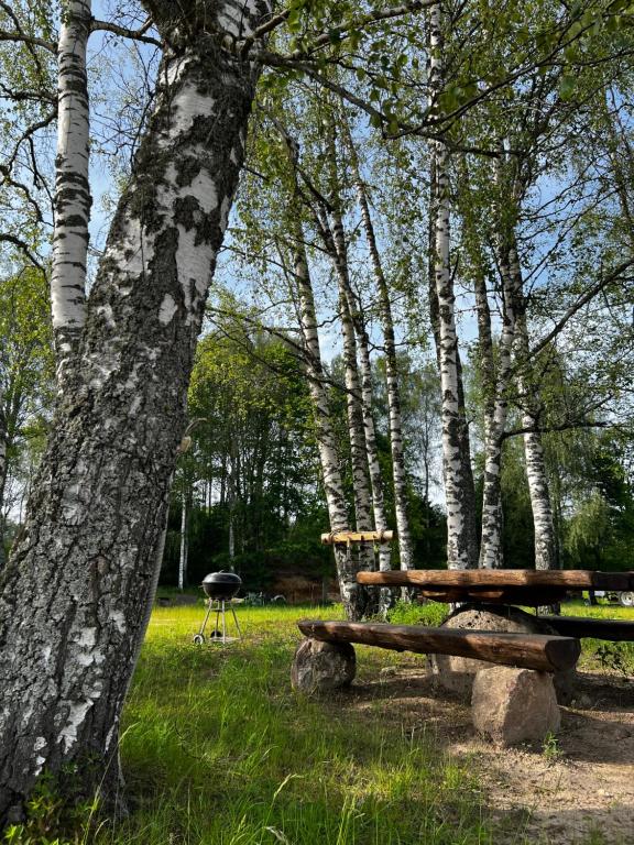 Zahrada ubytování Eha Farmstay