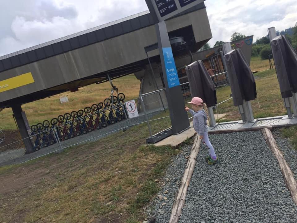 Hosté ubytování Penzion SATELIT