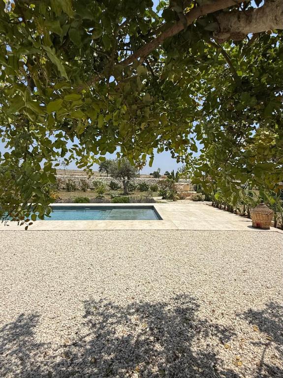 a swimming pool in a yard under a tree at Papalei La Maison in Ragusa
