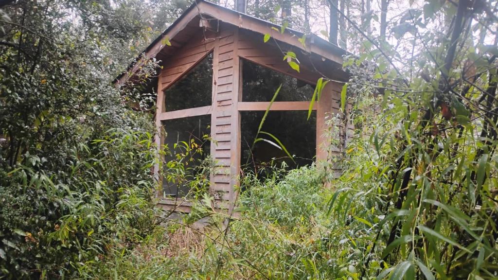 a out house in the middle of the forest at Reserva Nido del Chucao in Pucón