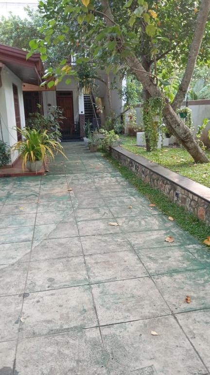 Zahrada ubytování Ceylonima Home Stay