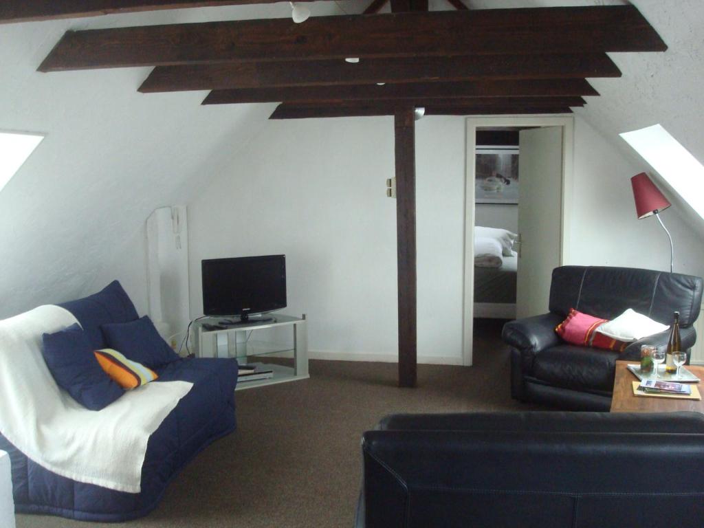 un salon avec un canapé et une télévision dans l'établissement Cosy appartement quartier Orangerie, à Strasbourg