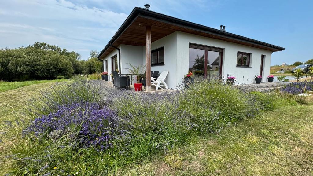 a small white house with a lawn and purple flowers at Belle maison familiale de Kerscaven in Penmarcʼh