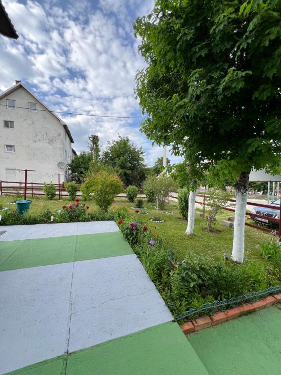 Apartments Obradović Milan - 3