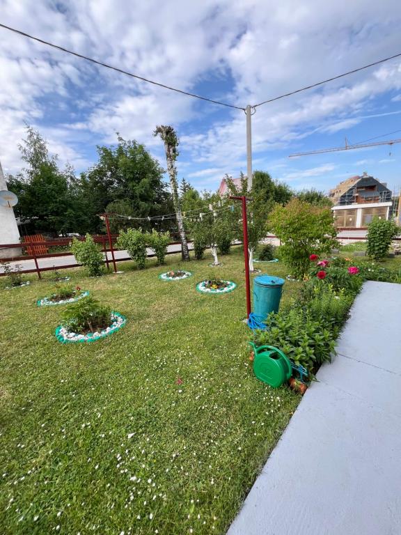 Apartments Obradović Milan - 4