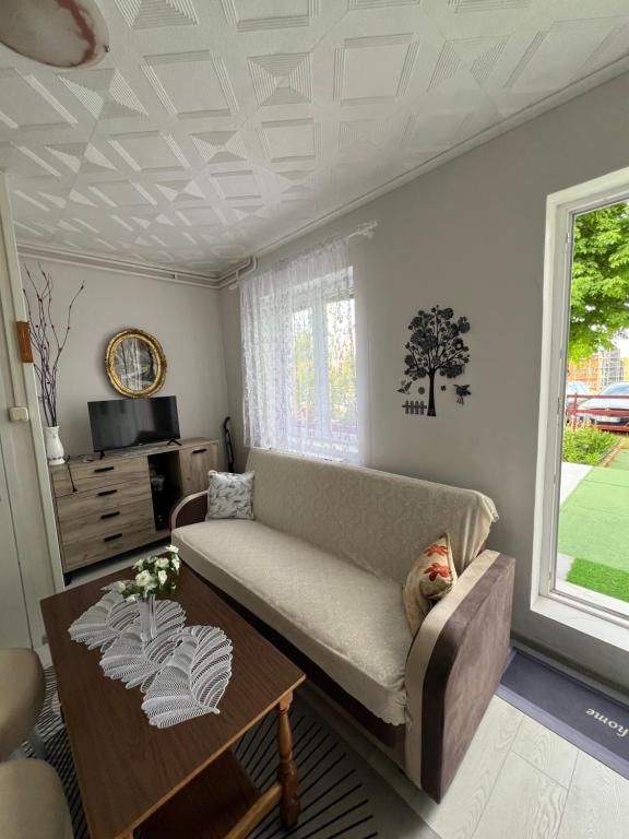 Apartments Obradović Milan - 8